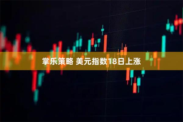 掌乐策略 美元指数18日上涨