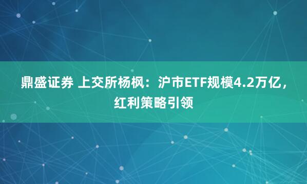 鼎盛证券 上交所杨枫：沪市ETF规模4.2万亿，红利策略引领