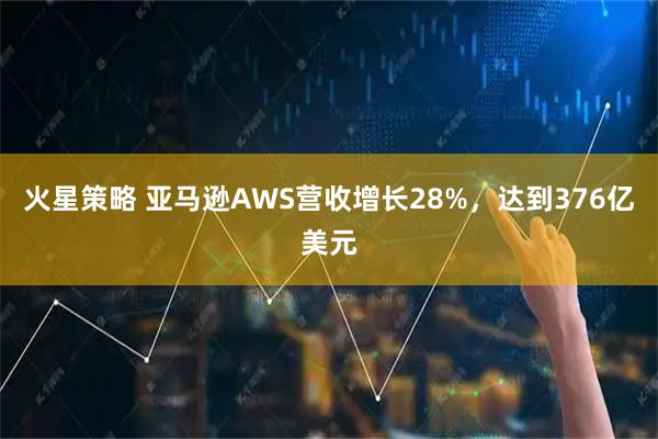 火星策略 亚马逊AWS营收增长28%，达到376亿美元