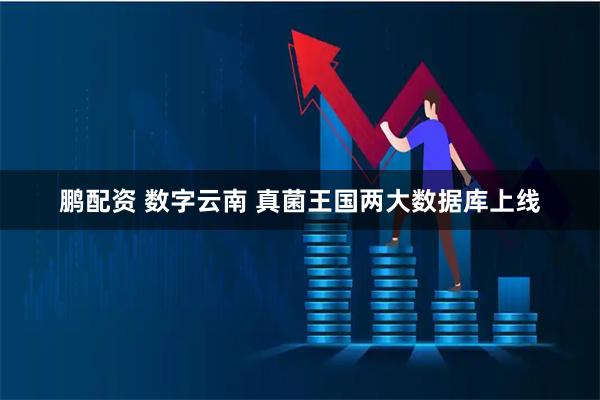 鹏配资 数字云南 真菌王国两大数据库上线