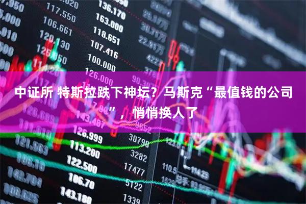 中证所 特斯拉跌下神坛？马斯克“最值钱的公司”，悄悄换人了