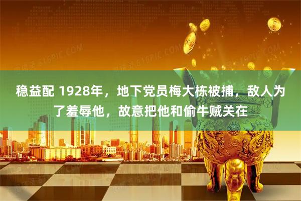 稳益配 1928年,地下党员梅大栋被捕,敌人为了羞辱他,故意把他和偷牛贼关在