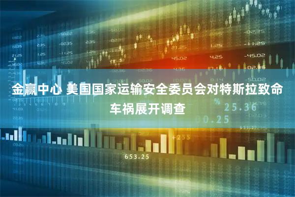 金赢中心 美国国家运输安全委员会对特斯拉致命车祸展开调查