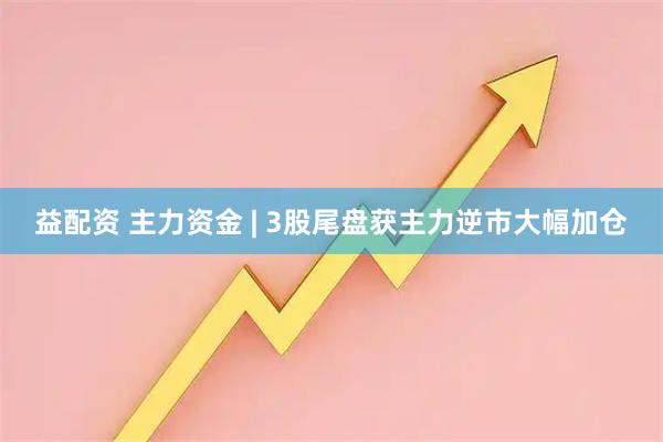 益配资 主力资金 | 3股尾盘获主力逆市大幅加仓