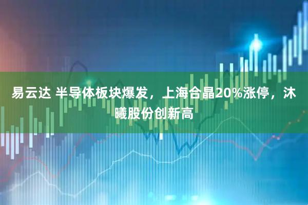 易云达 半导体板块爆发，上海合晶20%涨停，沐曦股份创新高